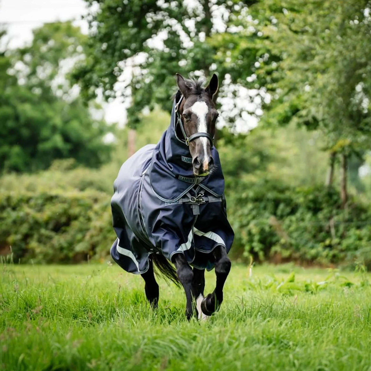 Rambo Optimo Turnout Plus 0g Navy/Thunderstorm Grey