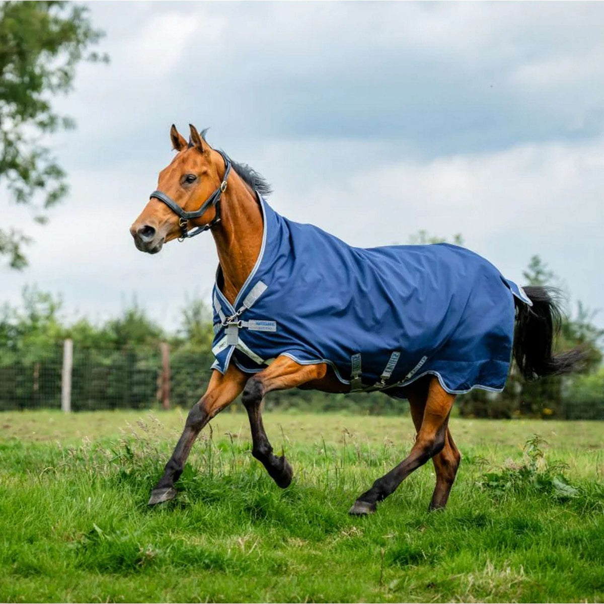 Amigo Bravo 12 Wug Lite 0g Navy/Titanium Grey