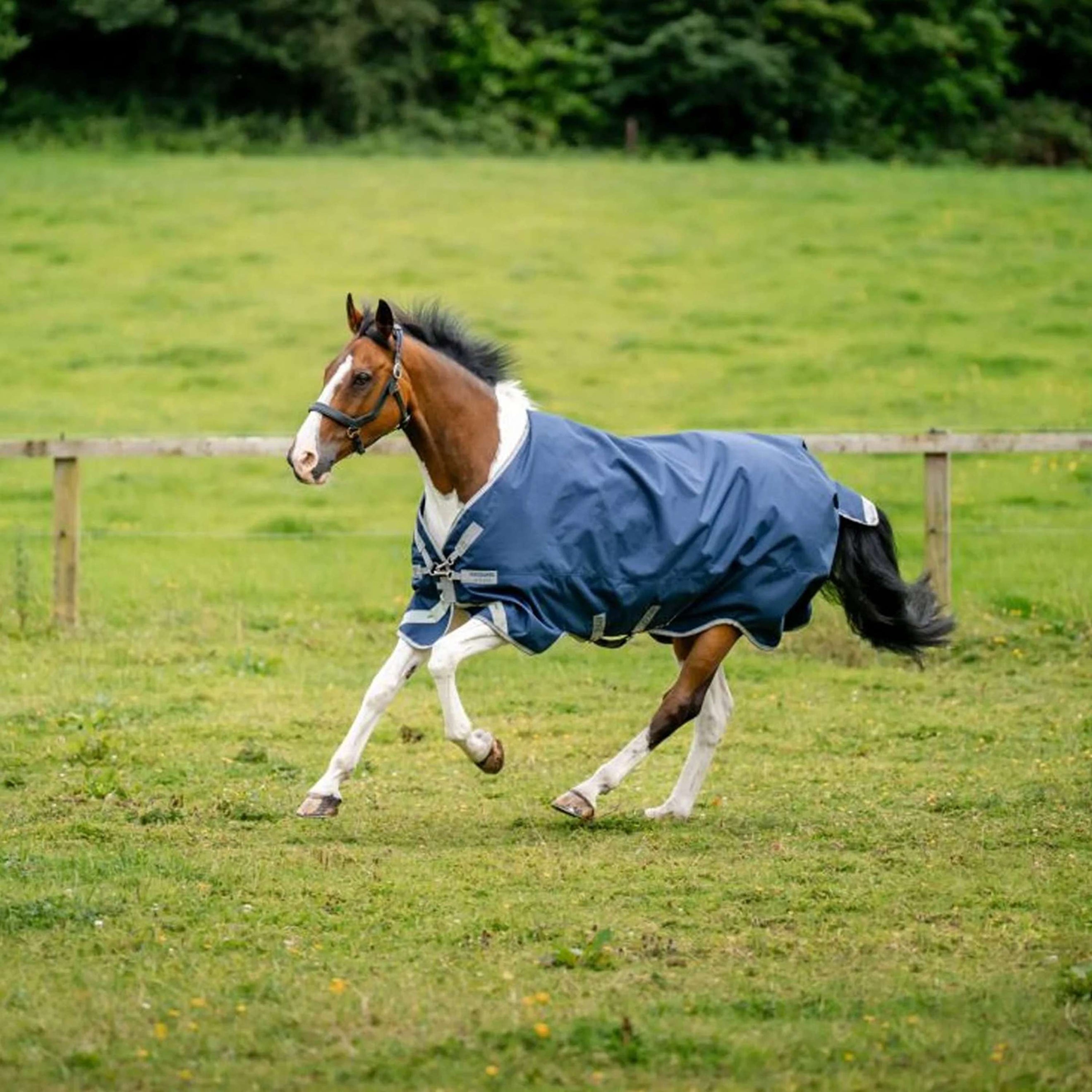 Amigo Bravo 12XL Original Turnout Lite 0g Navy/Titanium Grey