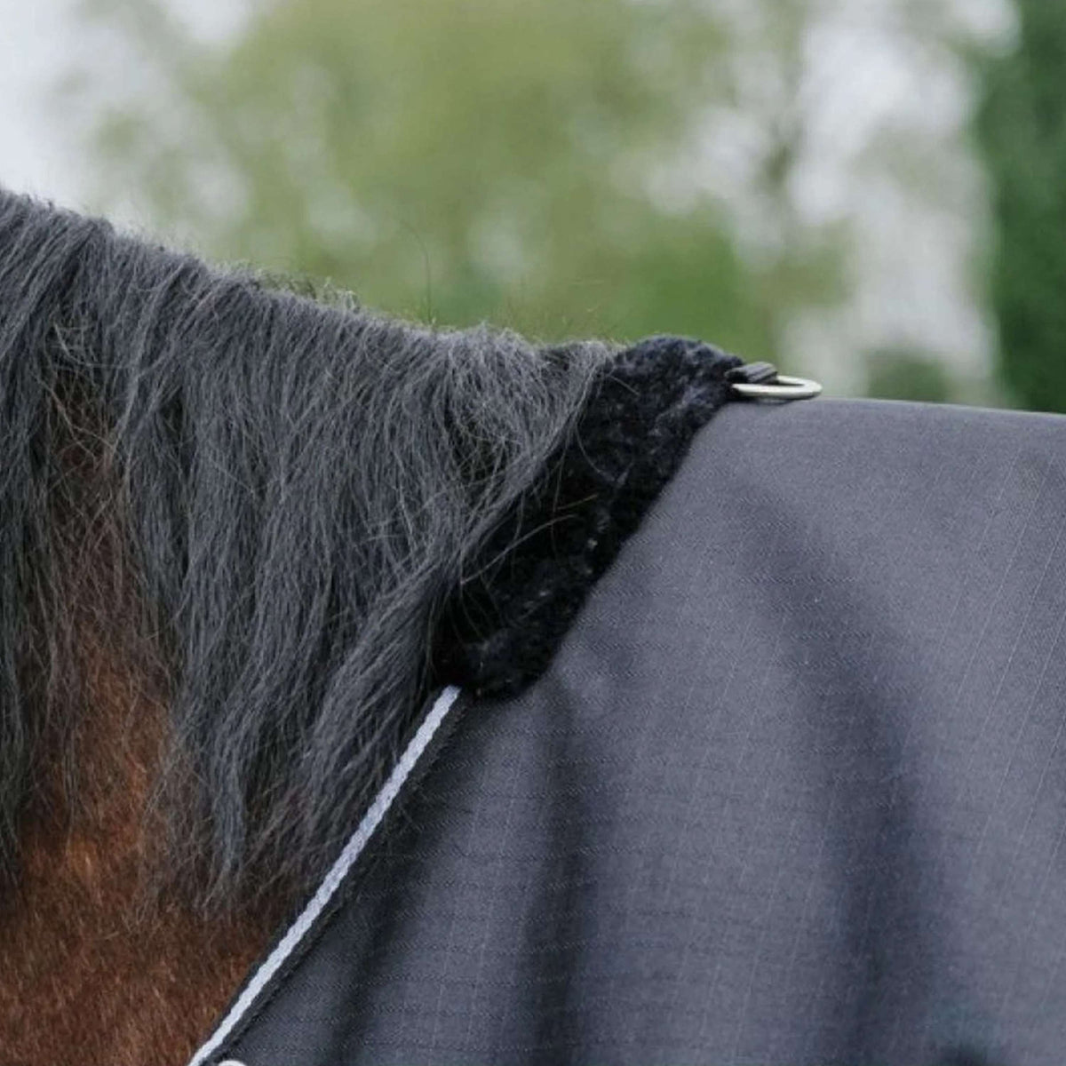 EQUITHÈME Outdoordecke Tyrex 600D Standard 150g Schwarz