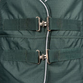 EQUITHÈME Outdoordecke Tyrex 600D Standard 300g Grün