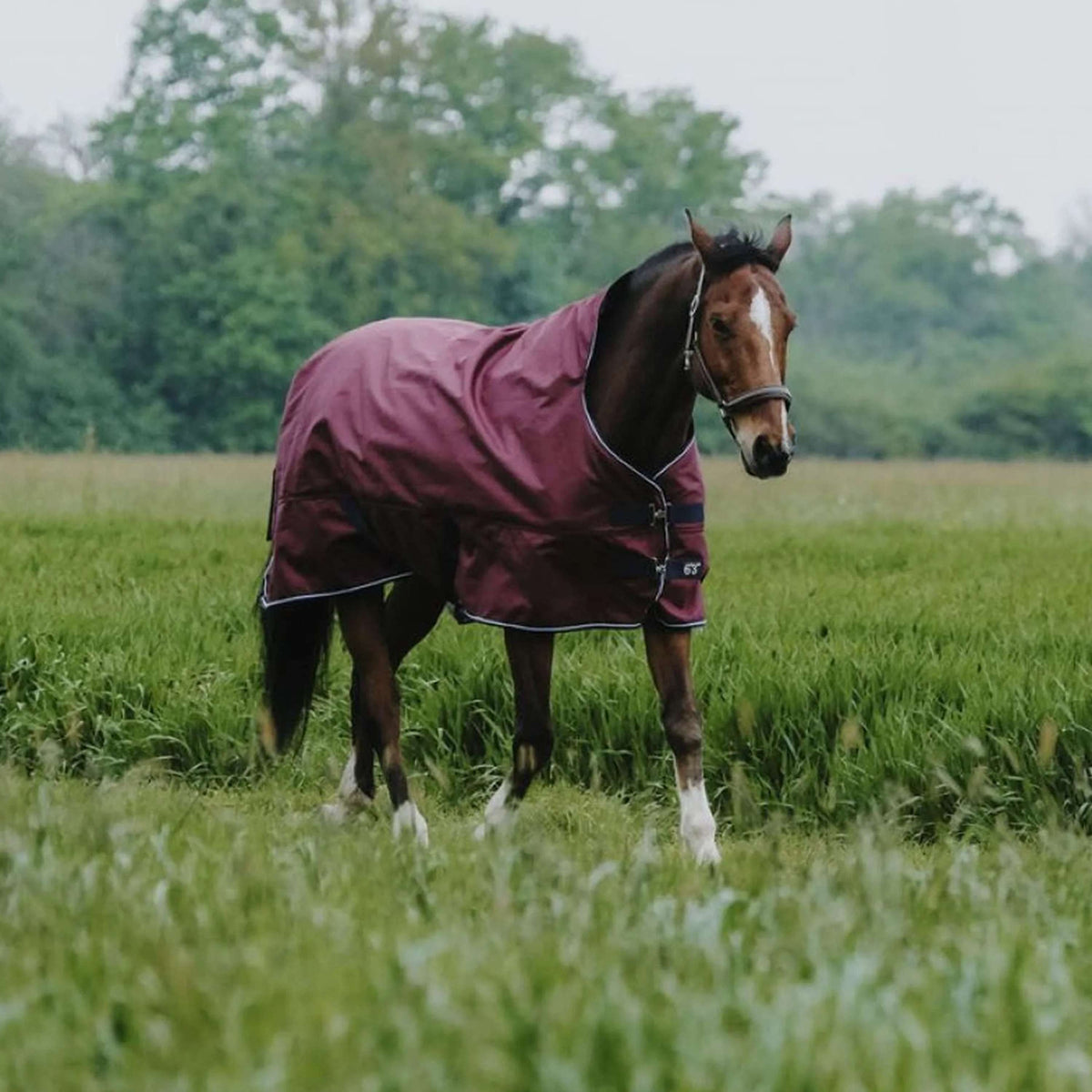 EQUITHÈME Outdoordecke Tyrex 1200D 0g High Neck Burgunderrot