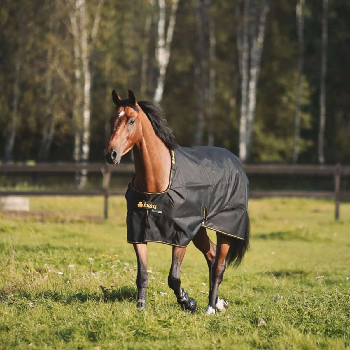 Bucas Irish Turnout 250g Schwarz/Gold