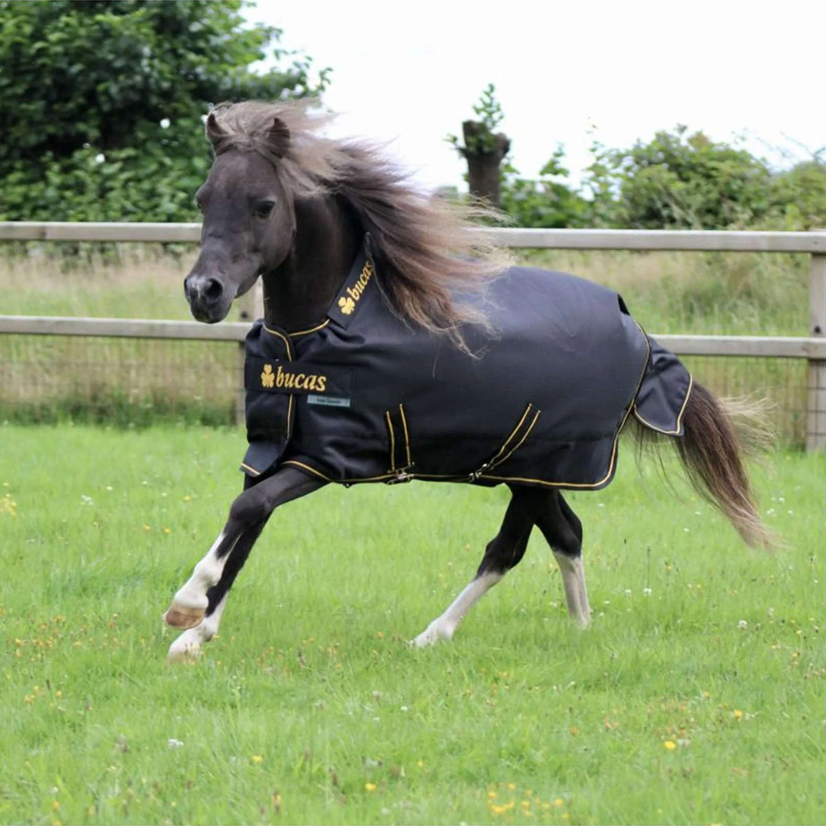 Bucas Irish Turnout 250g Schwarz/Gold