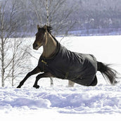 Bucas Irish Turnout 250g Schwarz/Gold