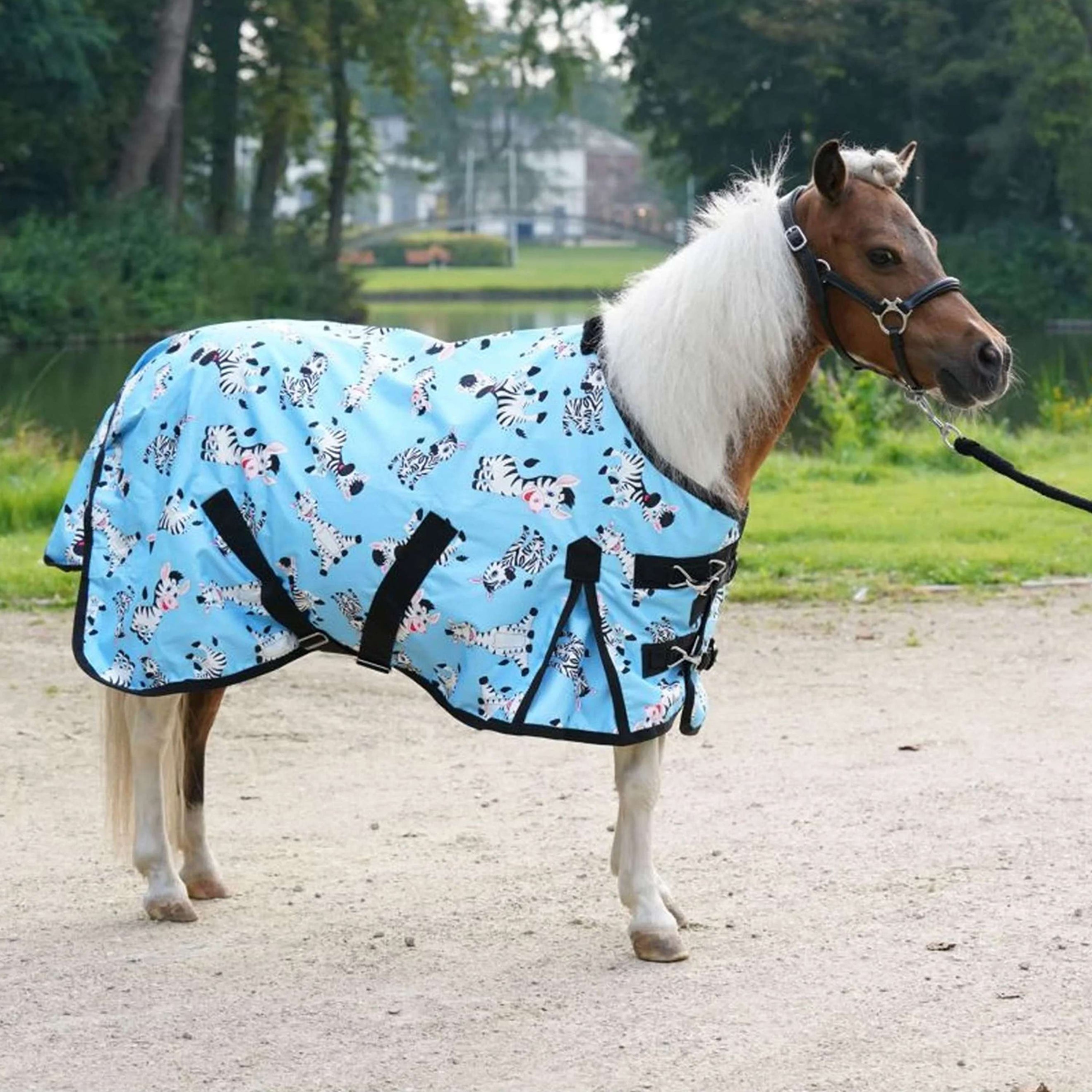 HB Outdoordecke Mr Squeez 0g Hellblau