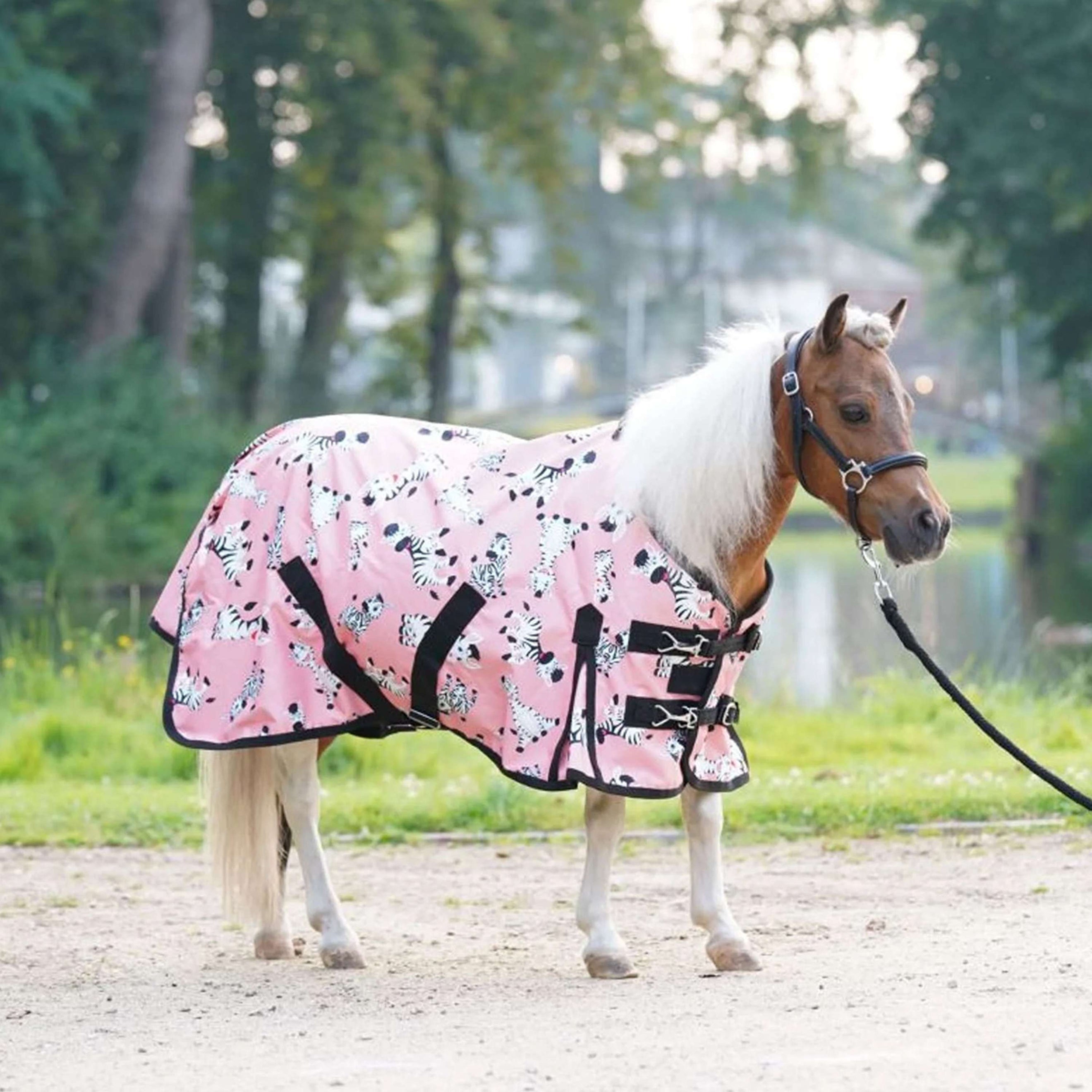 HB Outdoordecke Mr Squeez 0g Pfirsichfarben