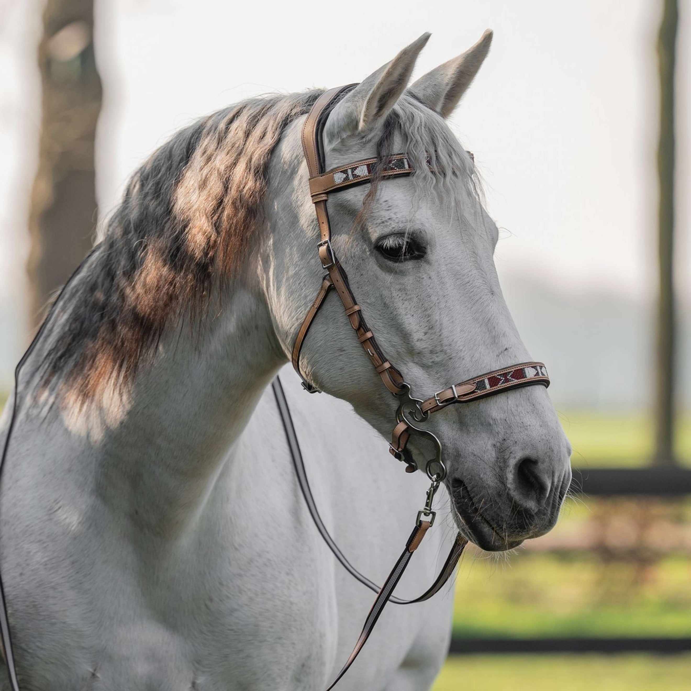 F.R.A. Gebisslose Trense Esprit Natur F.R.A. Gebisslose Trense Esprit Natur