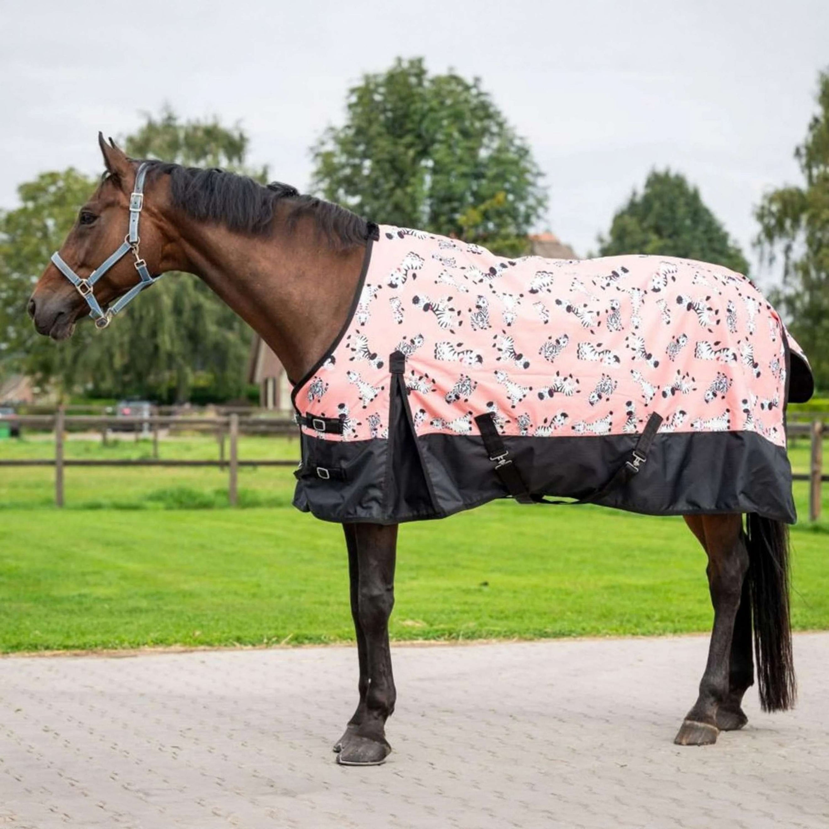 HB Outdoordecke Mr Squeez 200g Pfirsichfarben