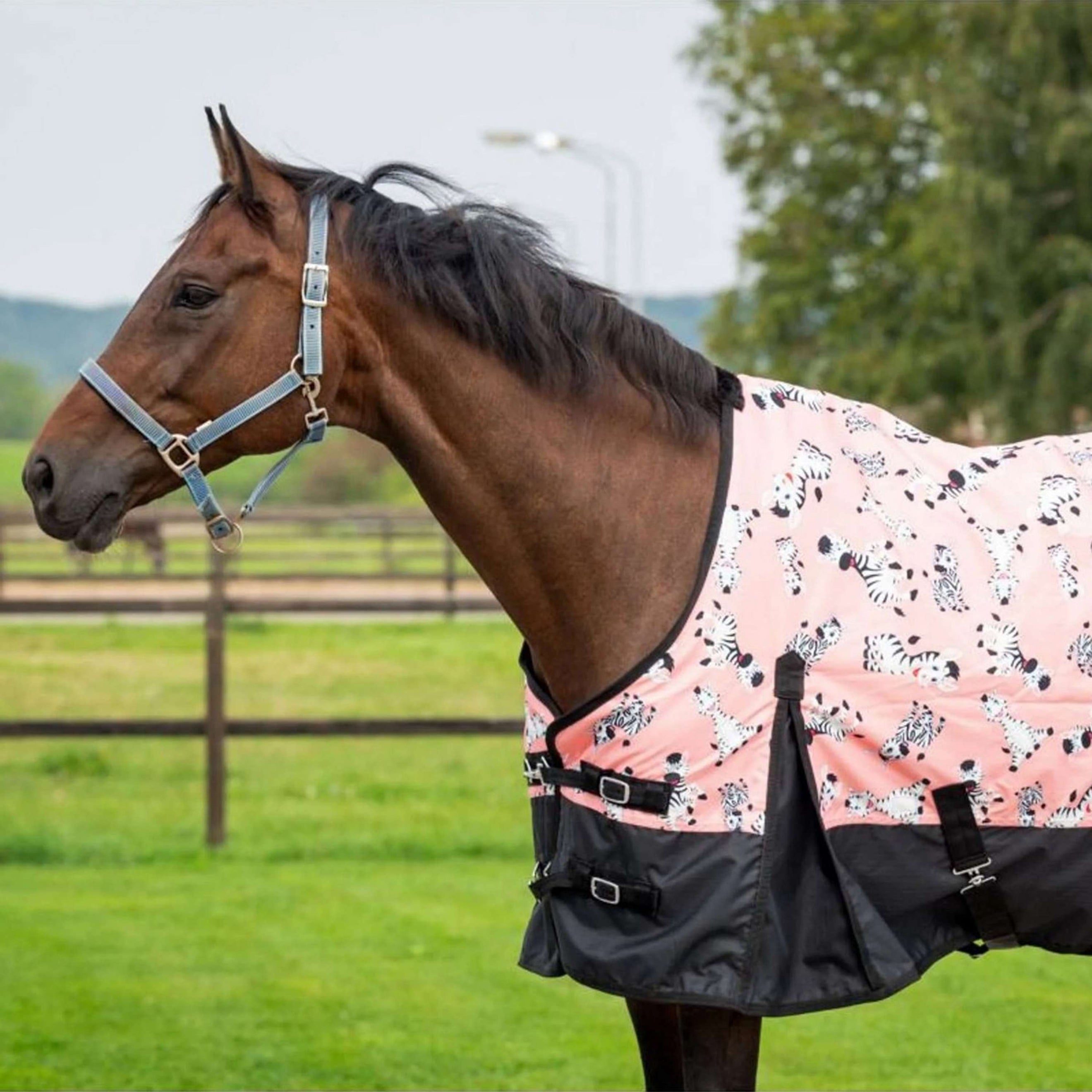 HB Outdoordecke Mr Squeez 200g Pfirsichfarben