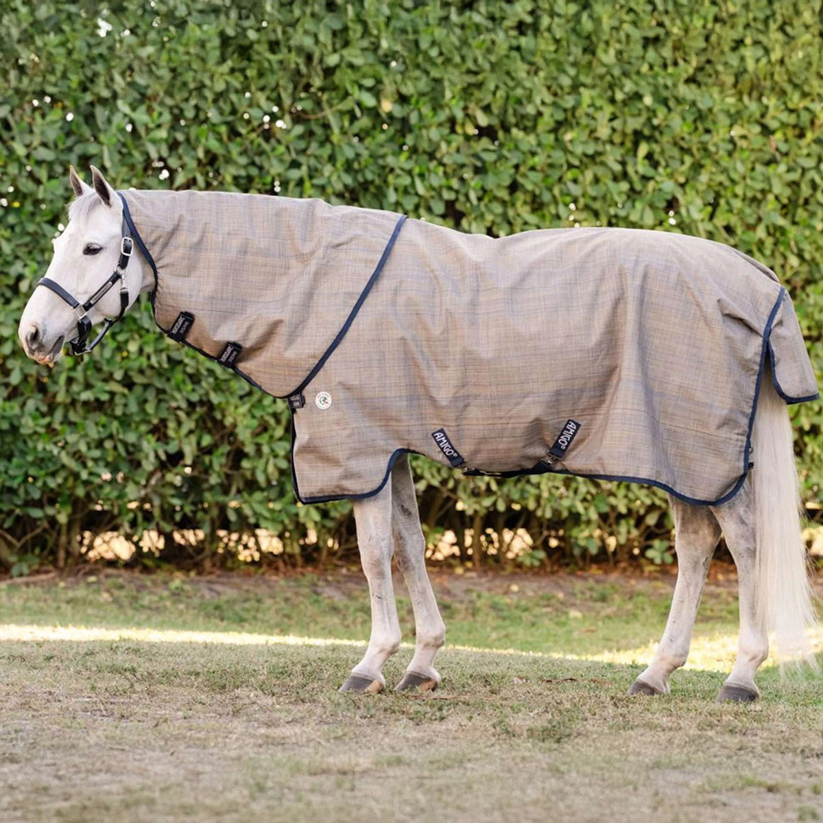 Amigo Turnout 900D Revive Plus 50g