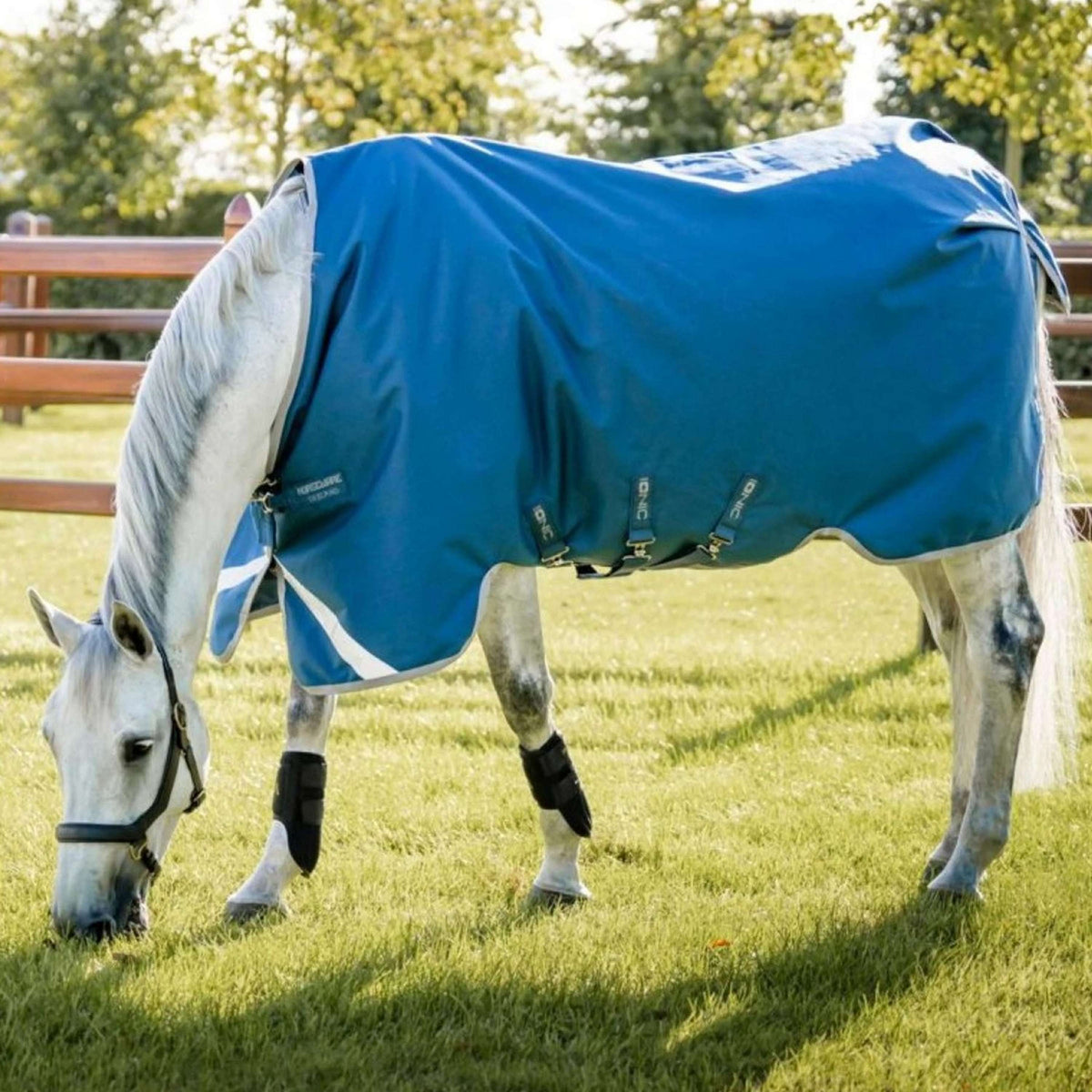 Horseware Therapy Turnout Ionic 100g Imperialblau/Silber/Marineblau
