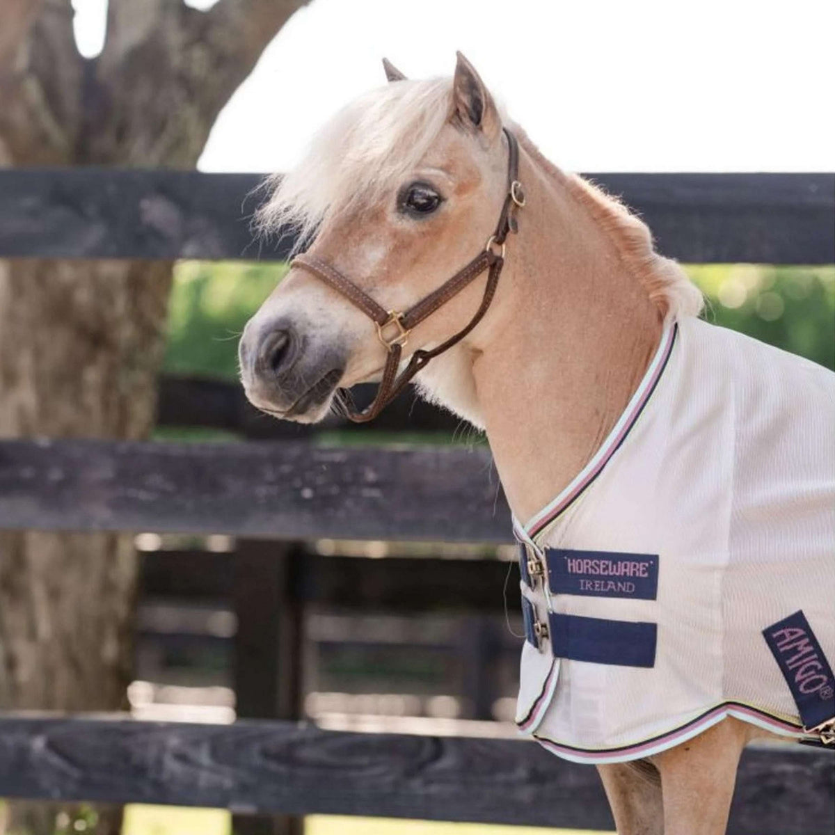 Amigo Bug Rug Plus Petite Silber/Limette/Marineblau/Rosa/Blau