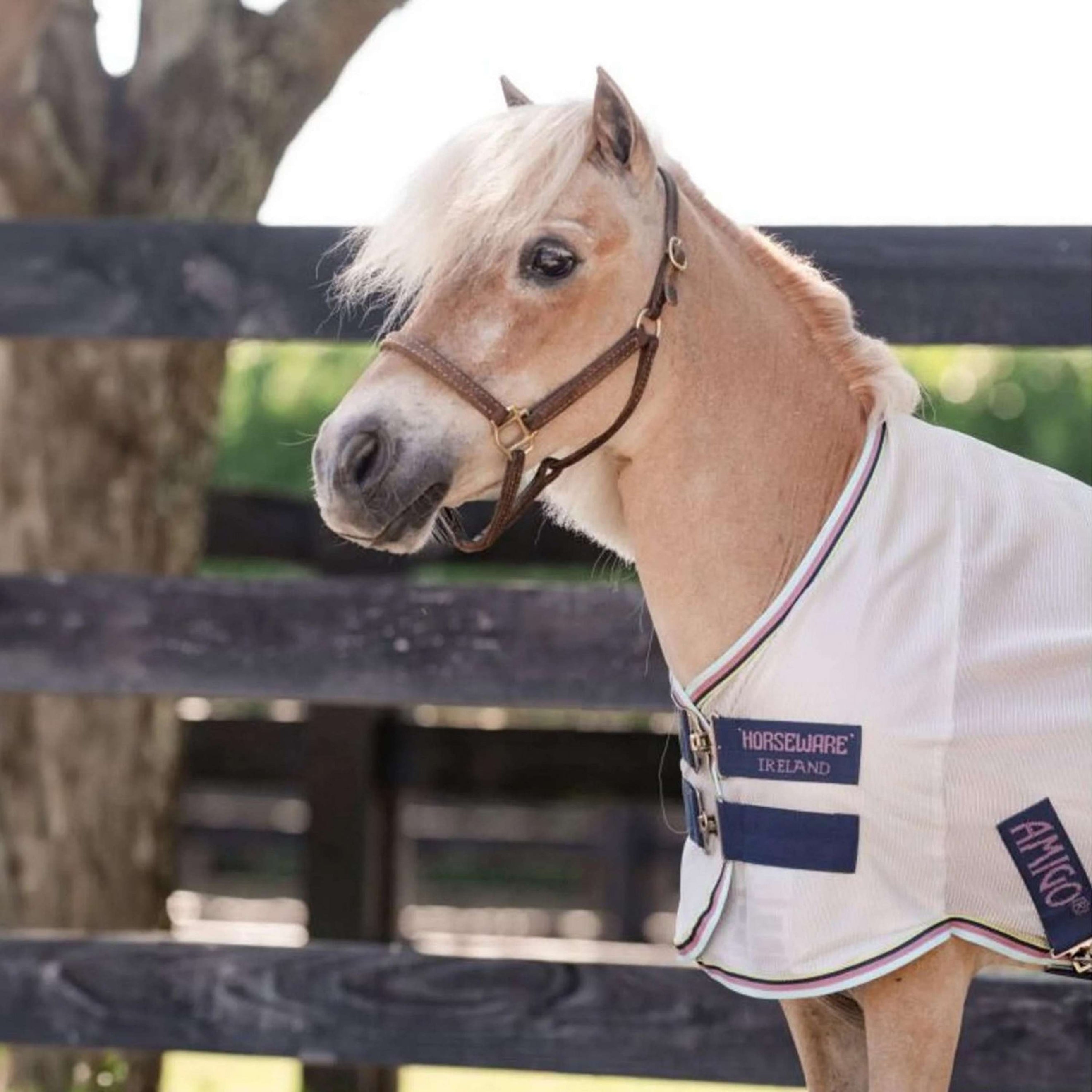 Amigo Bug Rug Plus Petite Silber/Limette/Marineblau/Rosa/Blau