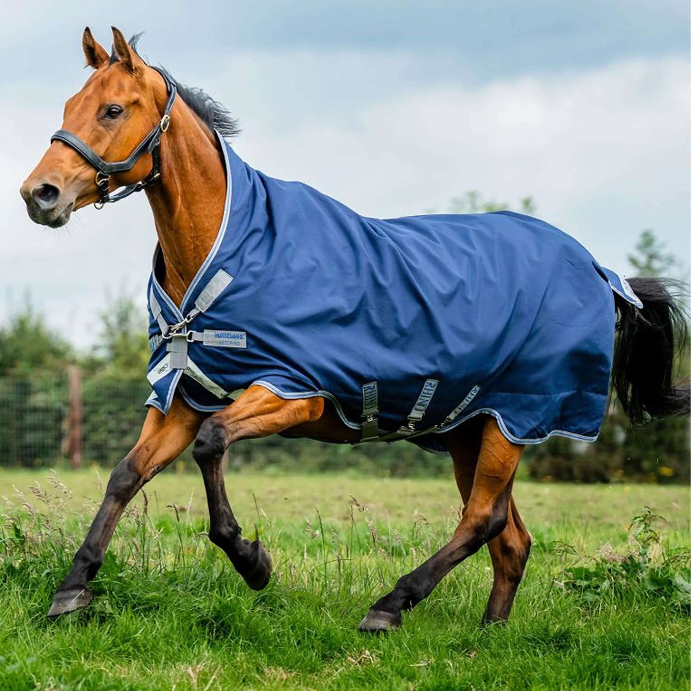 Rhino Wug Turnout 0g Marine/Titangrau/Klassisches Blau