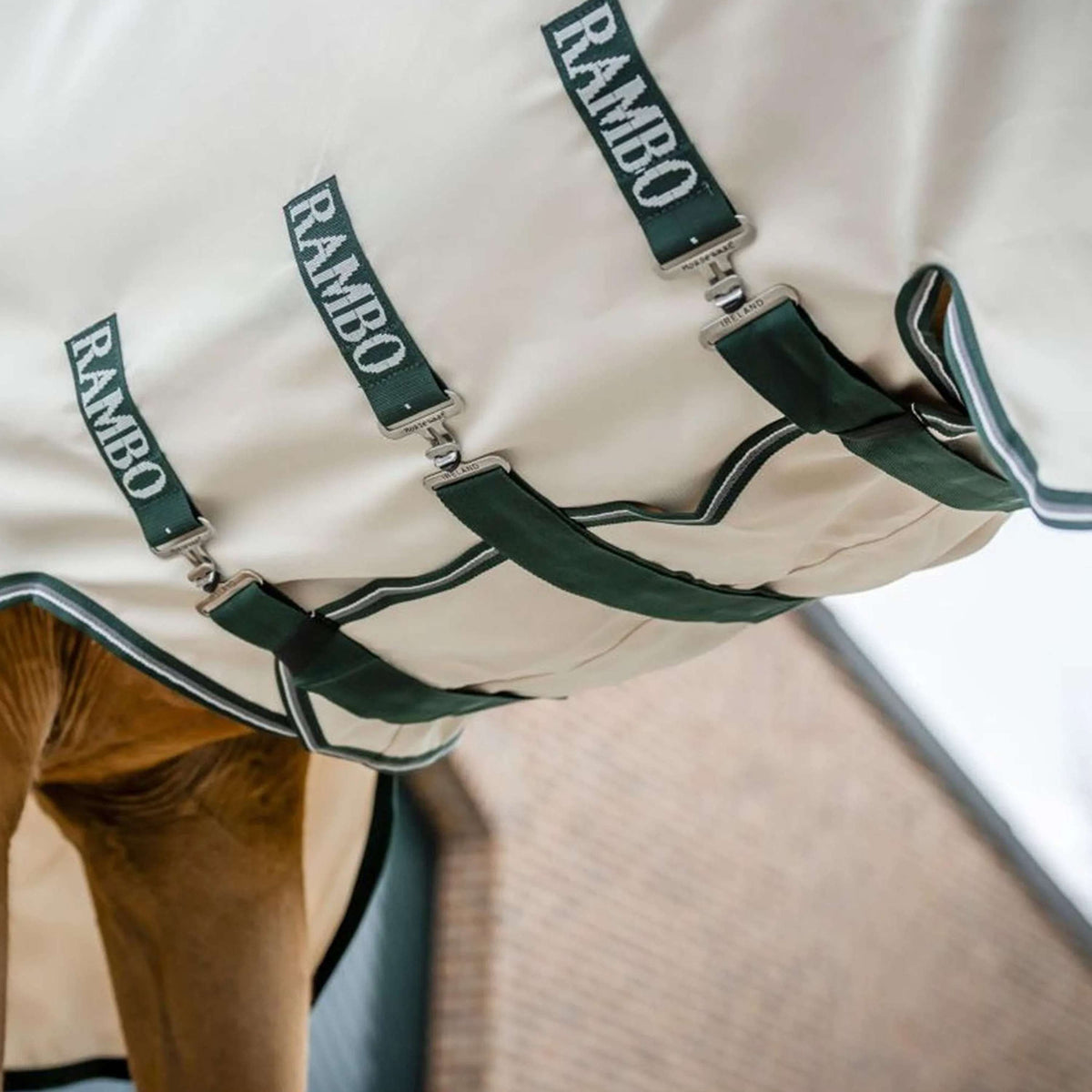 Rambo Hoody Kreide/Huntergrün/Silber