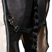 Rambo Hoody Pony Kreide/Huntergrün/Silber