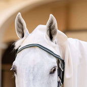 Rambo Hoody XL Kreide/Huntergrün/Silber