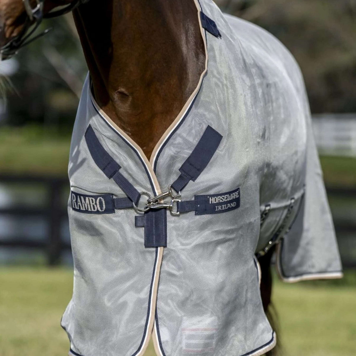 Rambo Protector Silber/Marineblau/Weiß/Beige