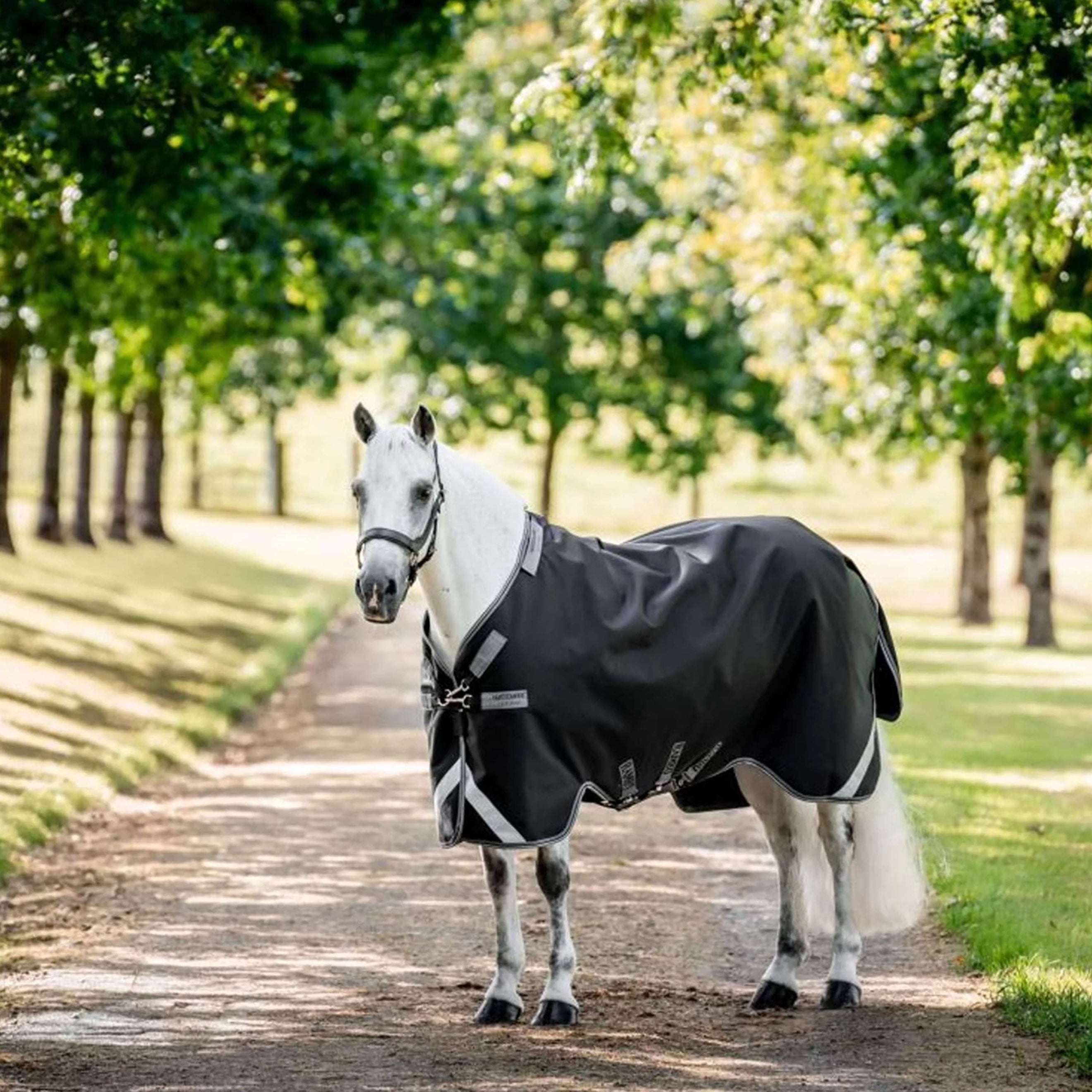 Rambo Turnout 1680D 0g Schwarz/Thunderstorm Grey/Silver