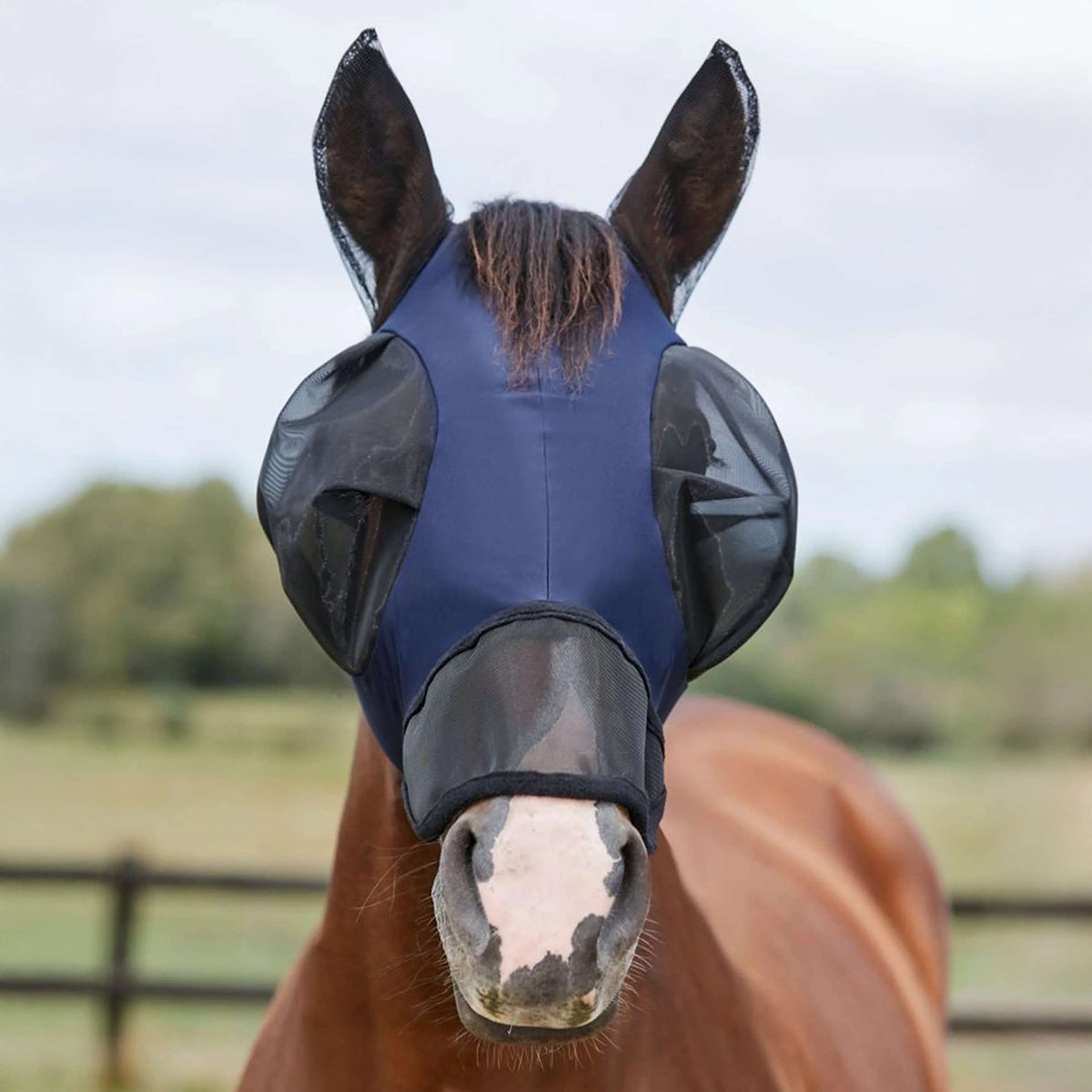 WeatherBeeta Fliegenmaske ComFiTec Luxe Bug Eye Saver mit Ohren und Nase Navy/Schwarz