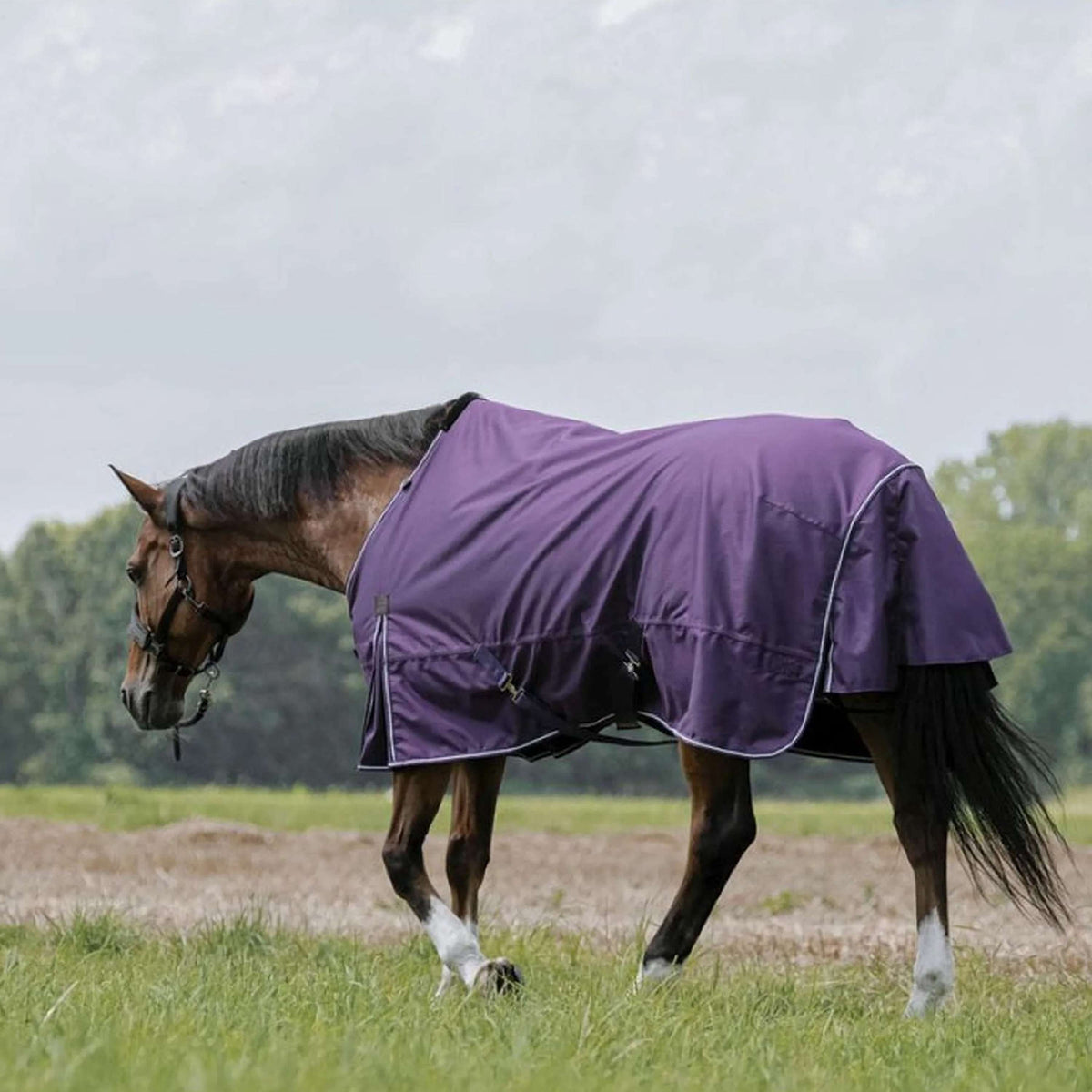 EQUITHÈME Outdoordecke Tyrex Aisance 600D 300g