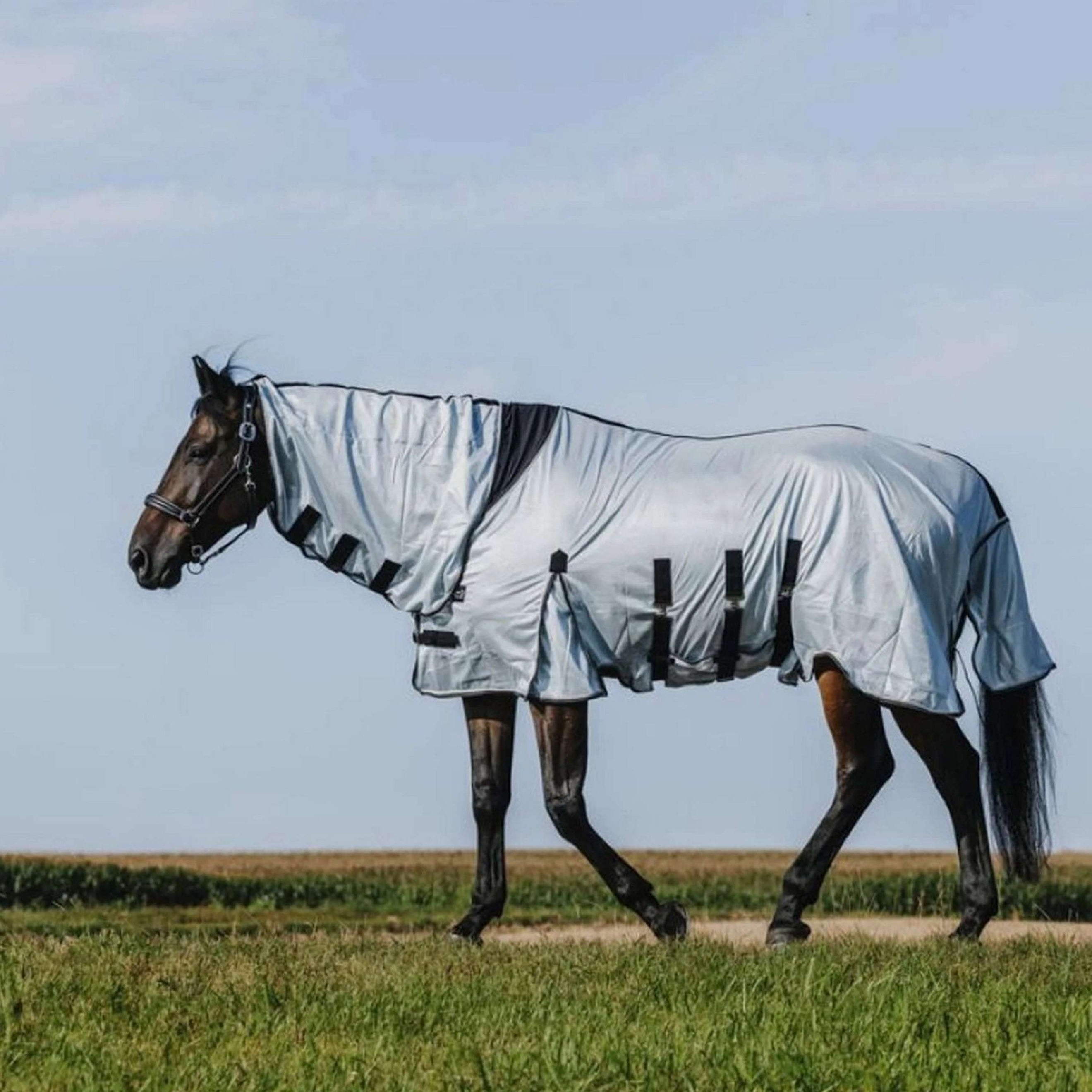 Riding World Fliegendecke Belly Mesh Combo Grau Riding World Fliegendecke Belly Mesh Combo Grau