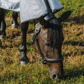 Riding World Fliegendecke Belly Mesh Combo Grau