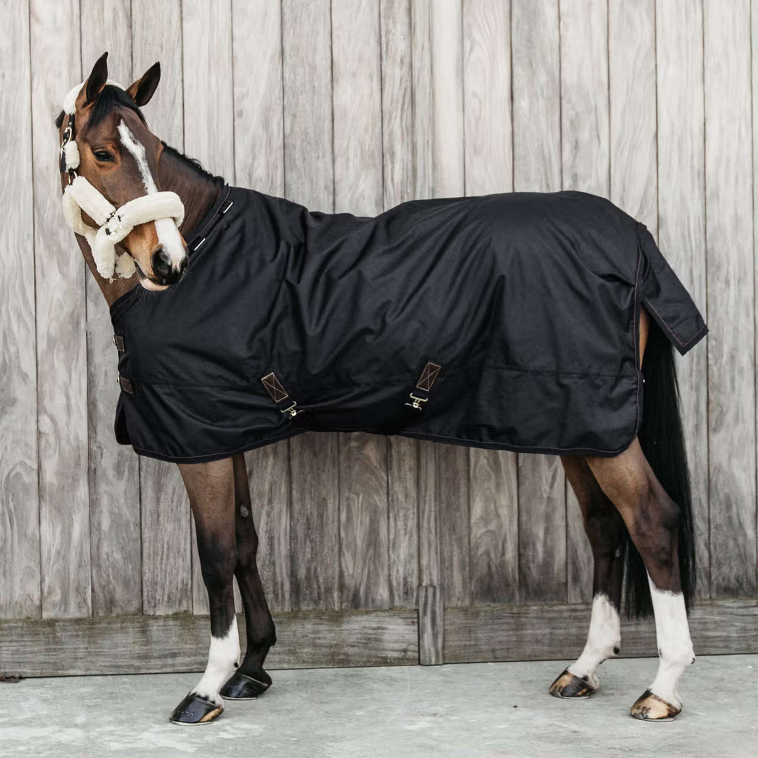 Kentucky Turnout Rug All Weather Waterproof Pro 0g Schwarz