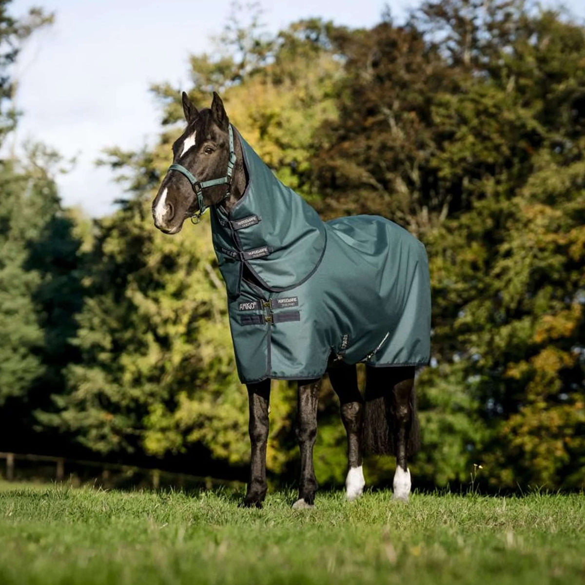 Amigo Halsstück Ripstop 900D 0g Dynasty Green/Navy/Silver