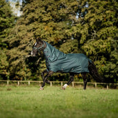 Amigo Halsstück Ripstop 900D 150g Dynasty Green/Navy/Silver