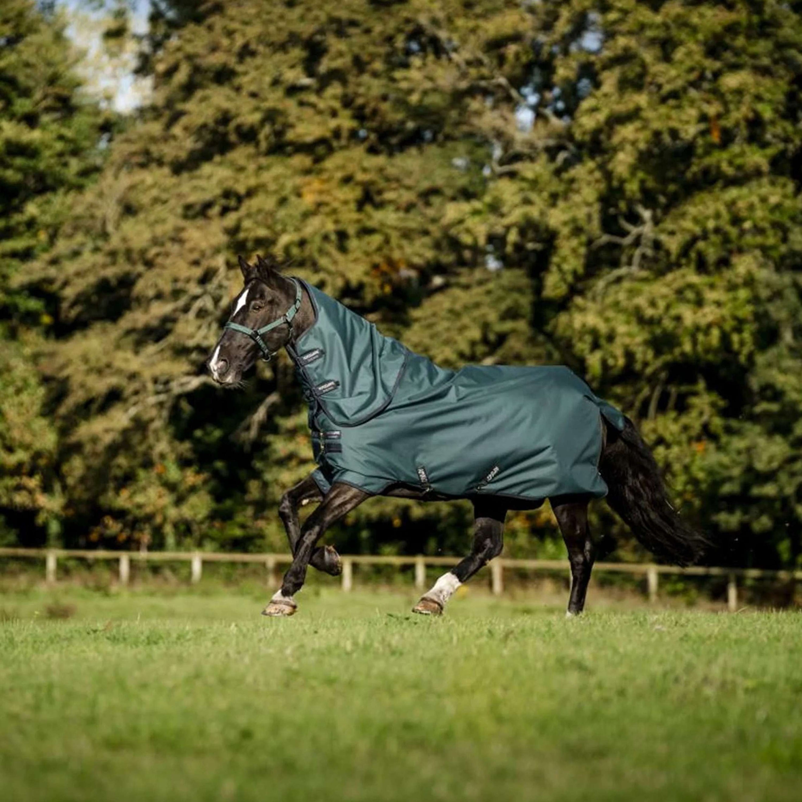 Amigo Ripstop 900D Plus Pony 0g Dynasty Green/Navy/Silver Amigo Ripstop 900D Plus Pony 0g Dynasty Green/Navy/Silver