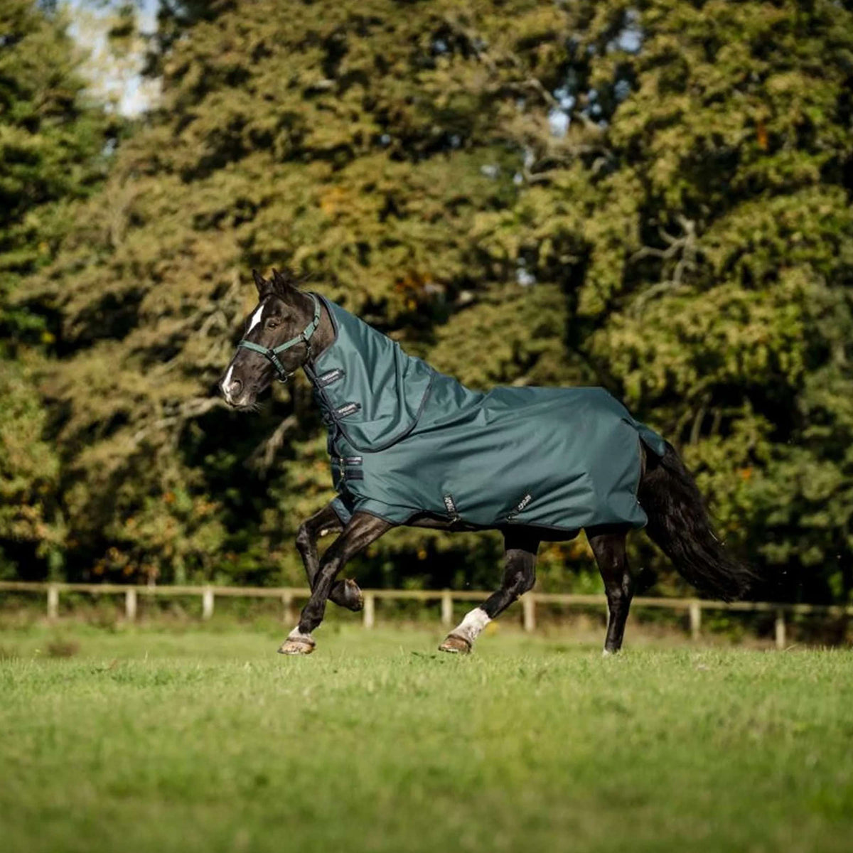 Amigo Ripstop 900D Plus 200g Dynasty Green/Navy/Silver