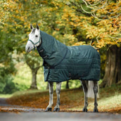 Amigo Halsstück Ripstip Insulator Stable 200g Dynasty Green/Navy/Silver