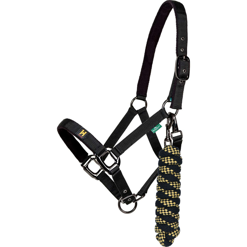 Amigo Halfter & Strick Newmarket Witney Gold