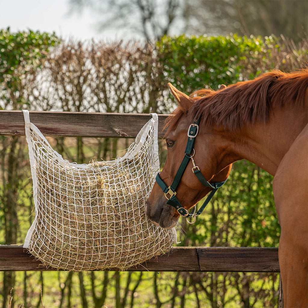 Agradi Horse Heunetz Masche 3x3cm Weiß