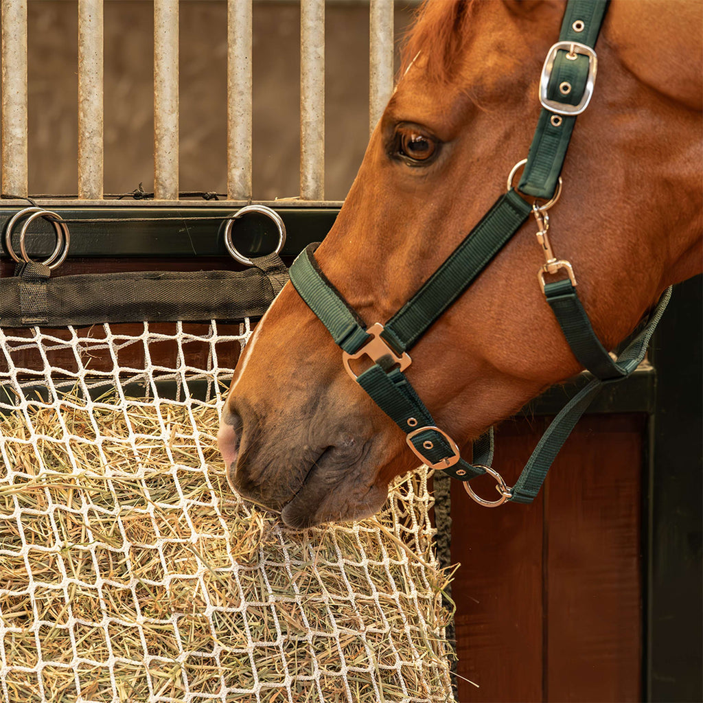 Agradi Horse Heunetz mit Füllhilfe Masche 3x3cm Weiß
