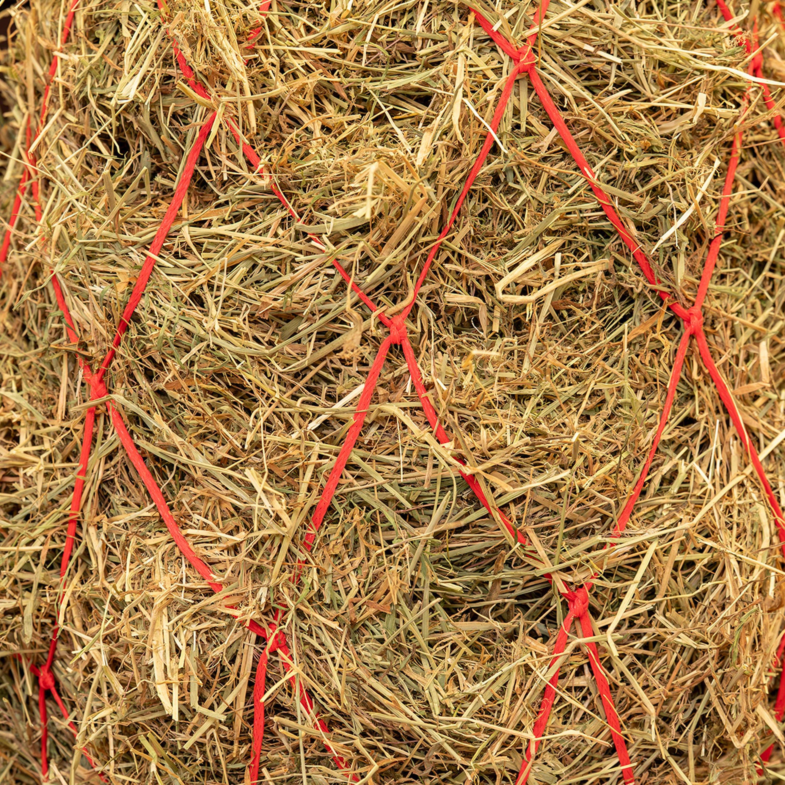 Agradi Horse Heunetz Masche 15x15cm Rot Agradi Horse Heunetz Masche 15x15cm Rot