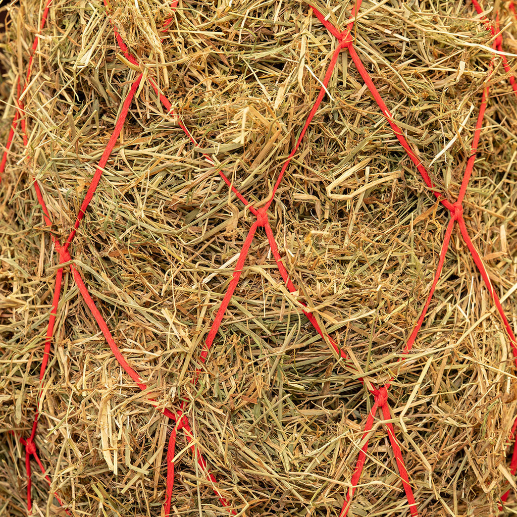 Agradi Horse Heunetz Masche 15x15cm Rot