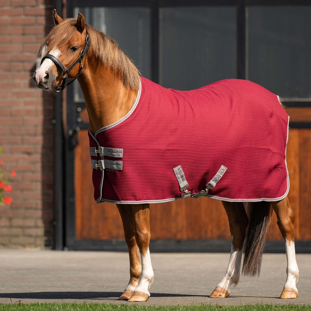 Velder Horsewear Premium Pony Waffle Cooler Rug Maulbeeren Rot