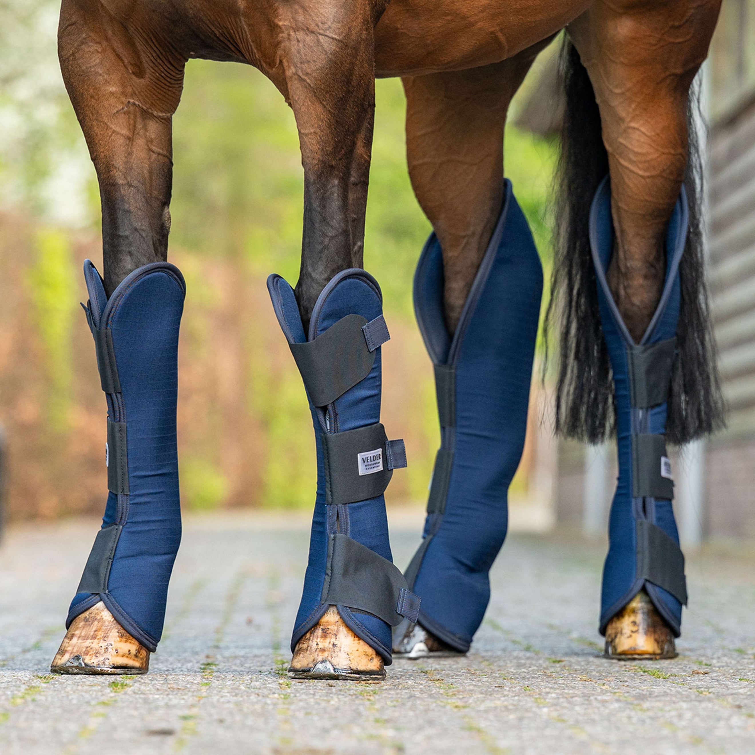 Velder Horsewear Transportgamaschen Navy