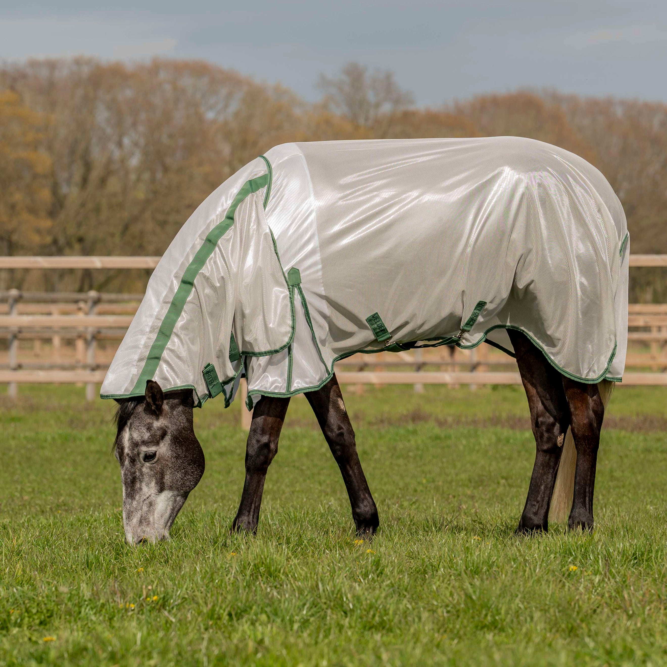 Velder Horsewear Fliegendecke Mesh mit Halsteil Silber Velder Horsewear Fliegendecke Mesh mit Halsteil Silber