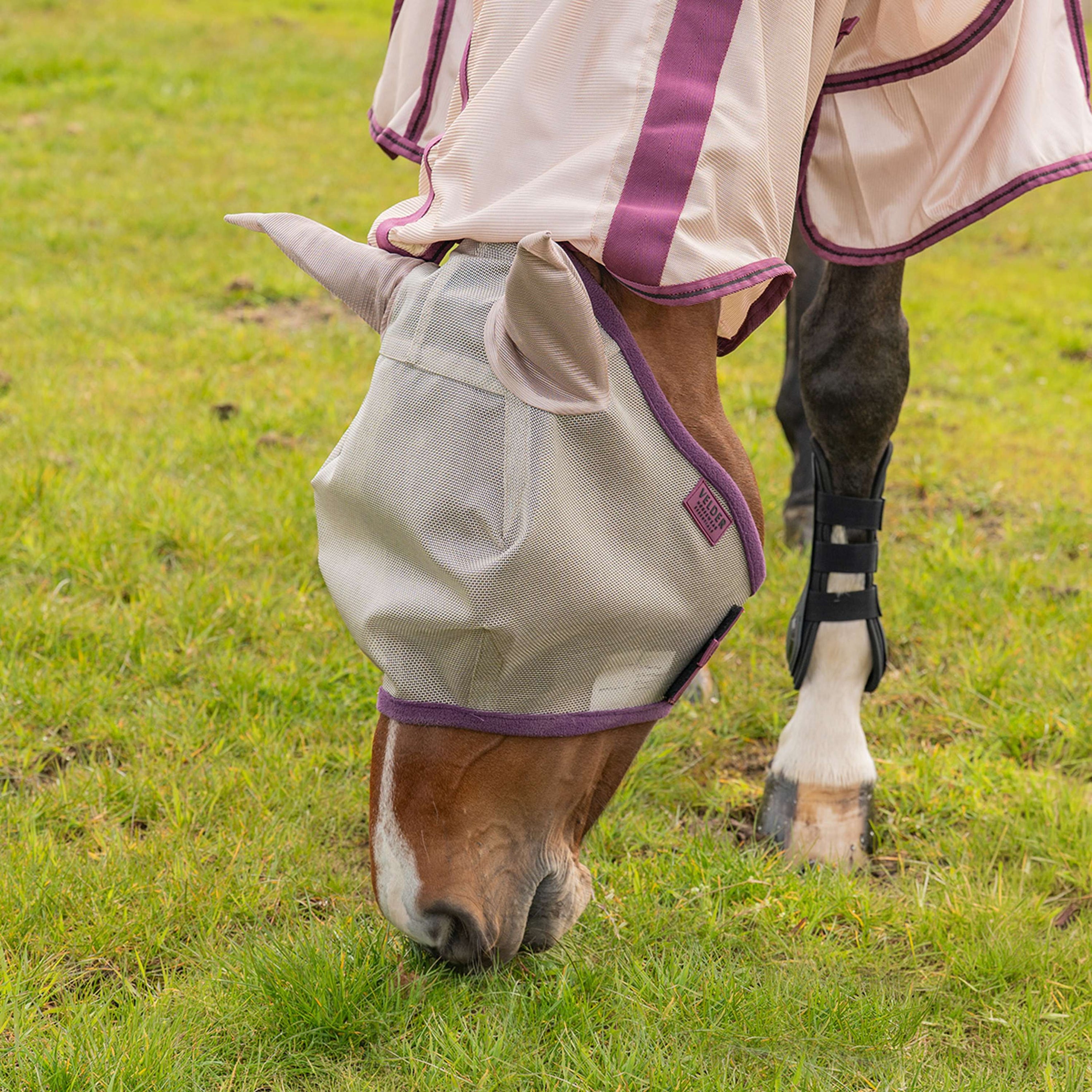 Velder Horsewear Fliegenmaske mit Ohren Sand Stone Velder Horsewear Fliegenmaske mit Ohren Sand Stone
