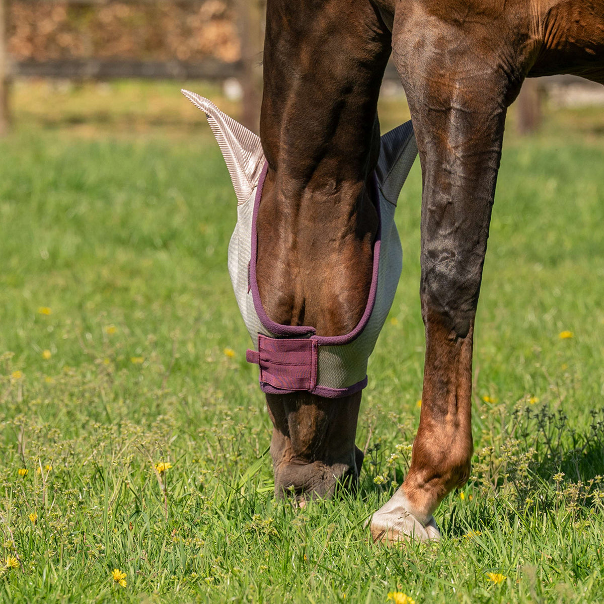 Velder Horsewear Fliegenmaske mit Ohren Sand Stone