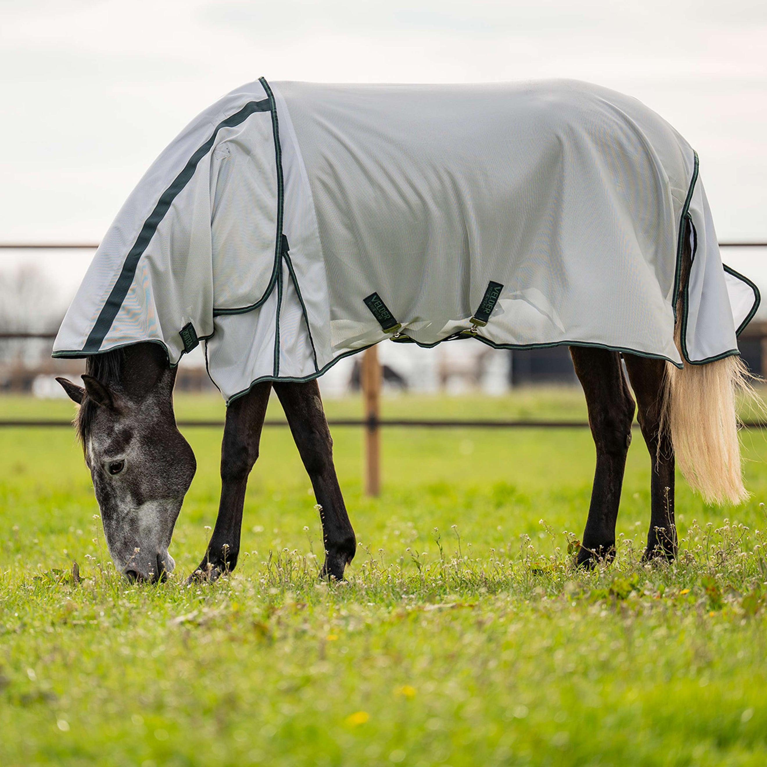 Velder Horsewear Fliegendecke Guardian AirMesh Silver Mist Velder Horsewear Fliegendecke Guardian AirMesh Silver Mist
