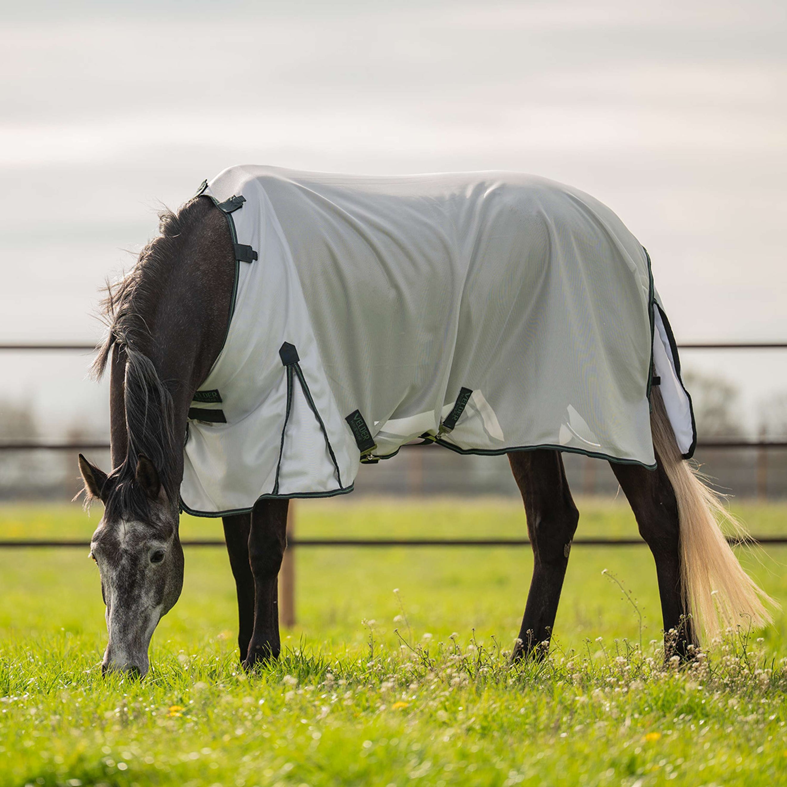 Velder Horsewear Fliegendecke Guardian AirMesh Silver Mist Velder Horsewear Fliegendecke Guardian AirMesh Silver Mist