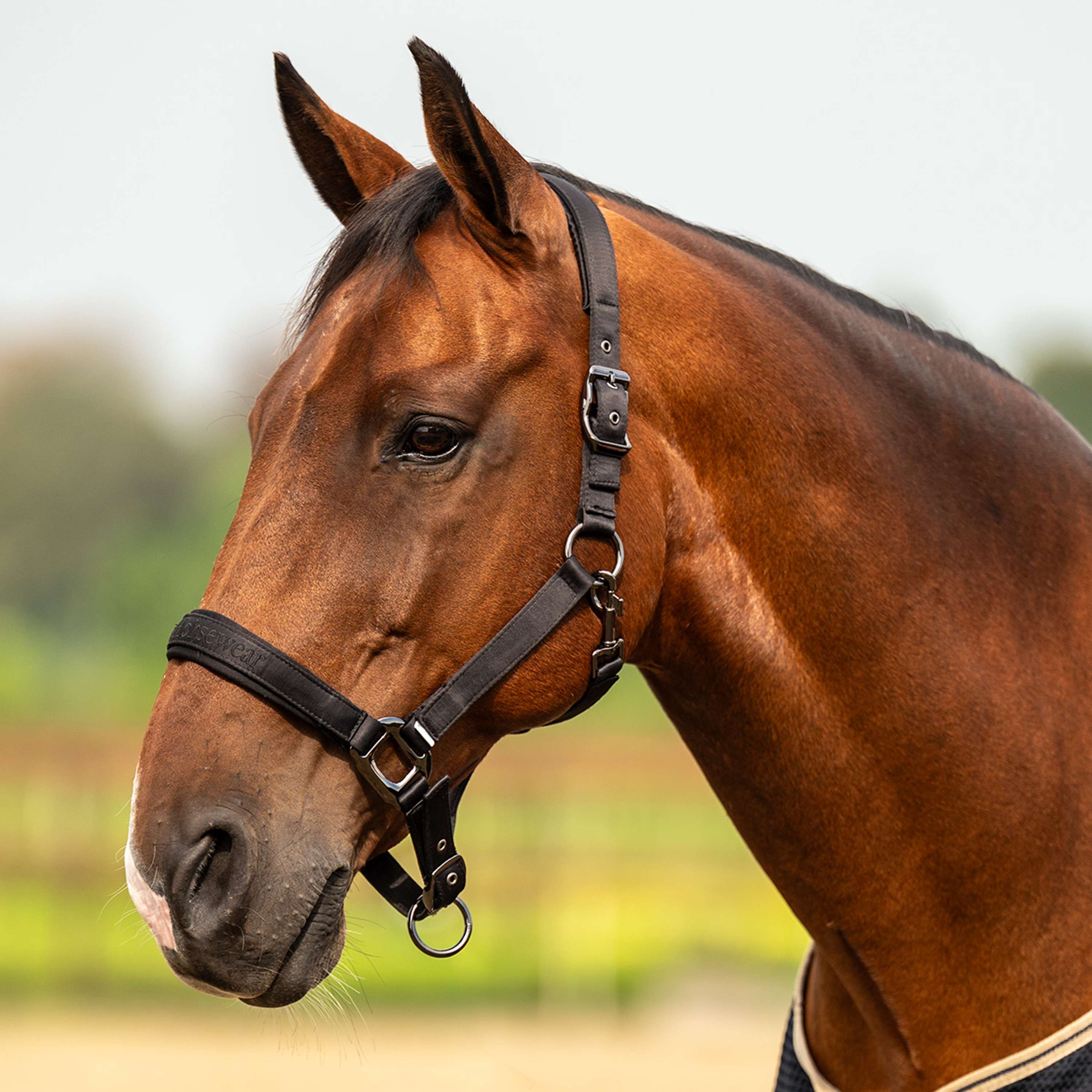 Velder Horsewear Premium Halfter Satin Glow Schwarz