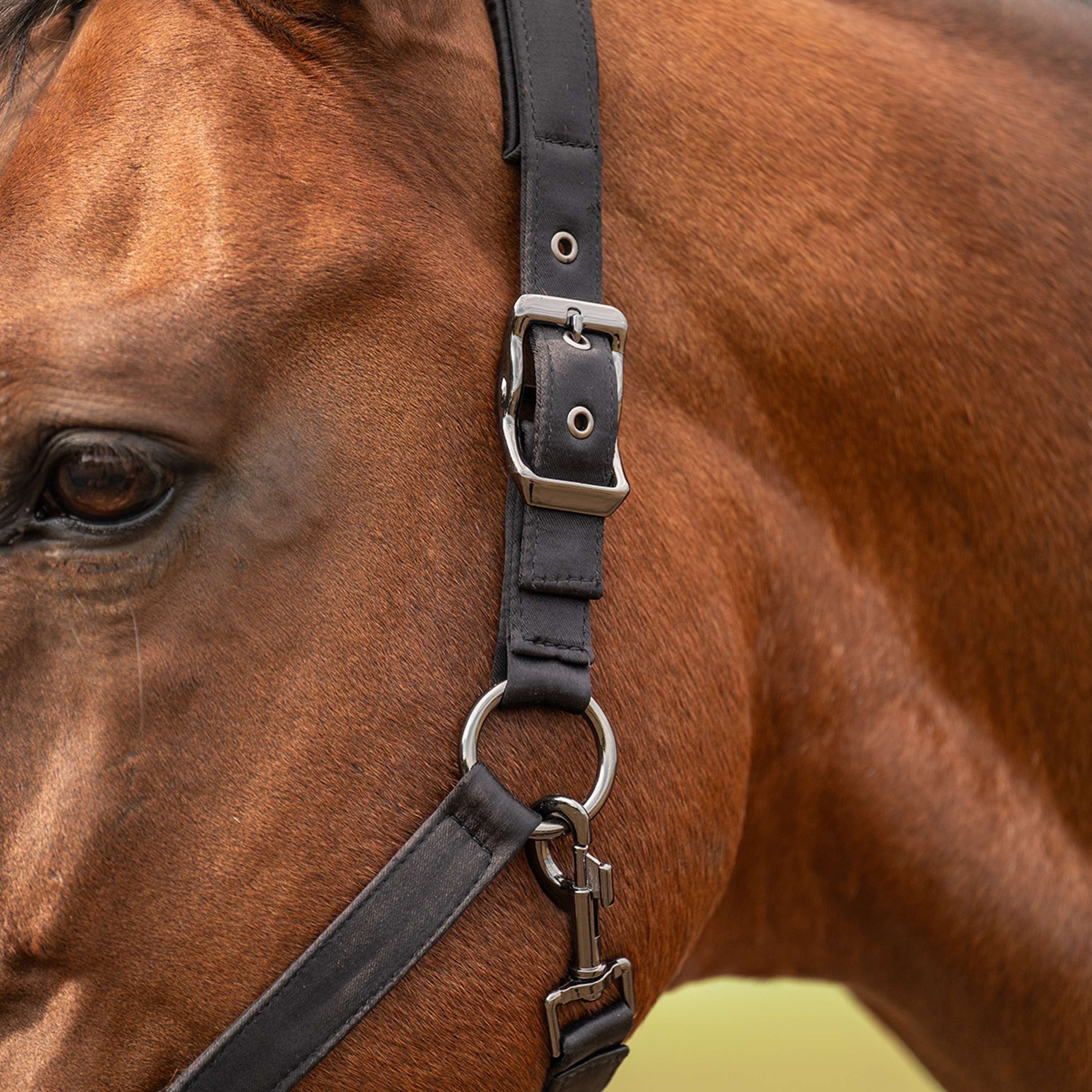 Velder Horsewear Premium Halfter Satin Glow Schwarz