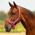 Velder Horsewear Premium Halfter Satin Glow Dutch Raspberry