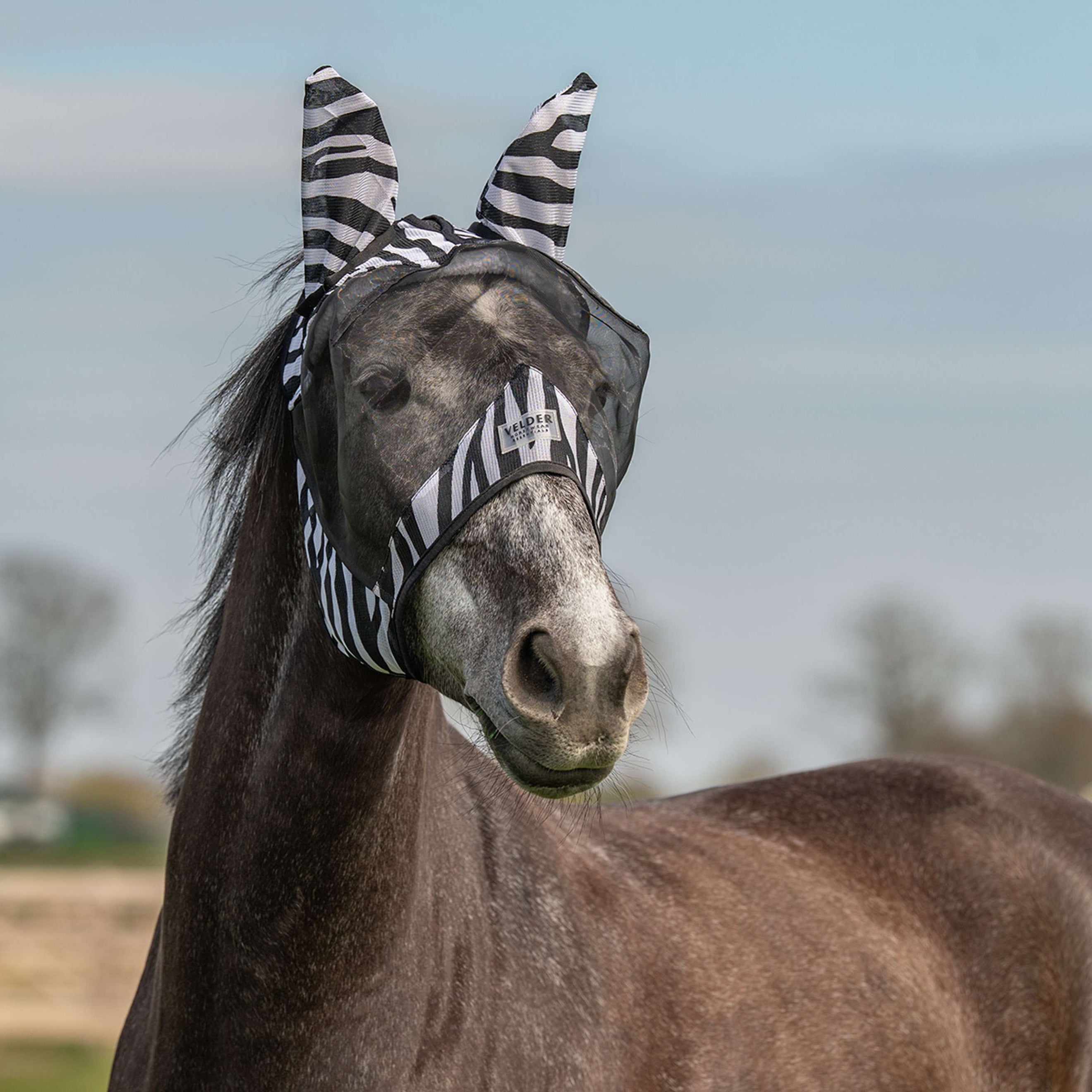 Velder Horsewear Essentials Fliegenmaske Zebra mit Ohren Schwarz/Weiß Velder Horsewear Essentials Fliegenmaske Zebra mit Ohren Schwarz/Weiß